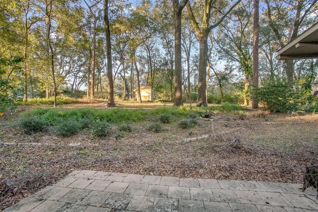 Backyard, Exterior