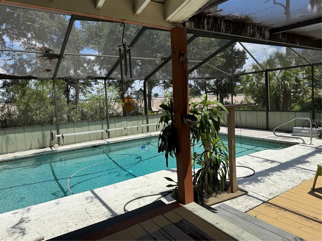 Glass Ceilings, Interior, Pool, Sun Room