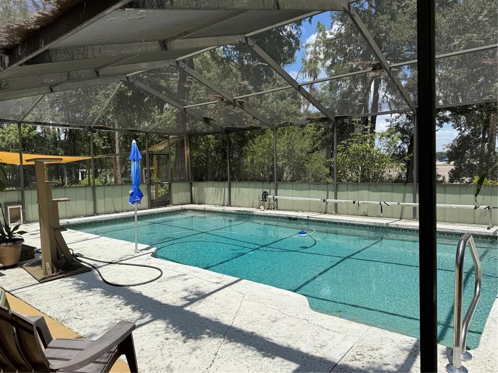 Glass Ceilings, Interior, Pool, Sun Room