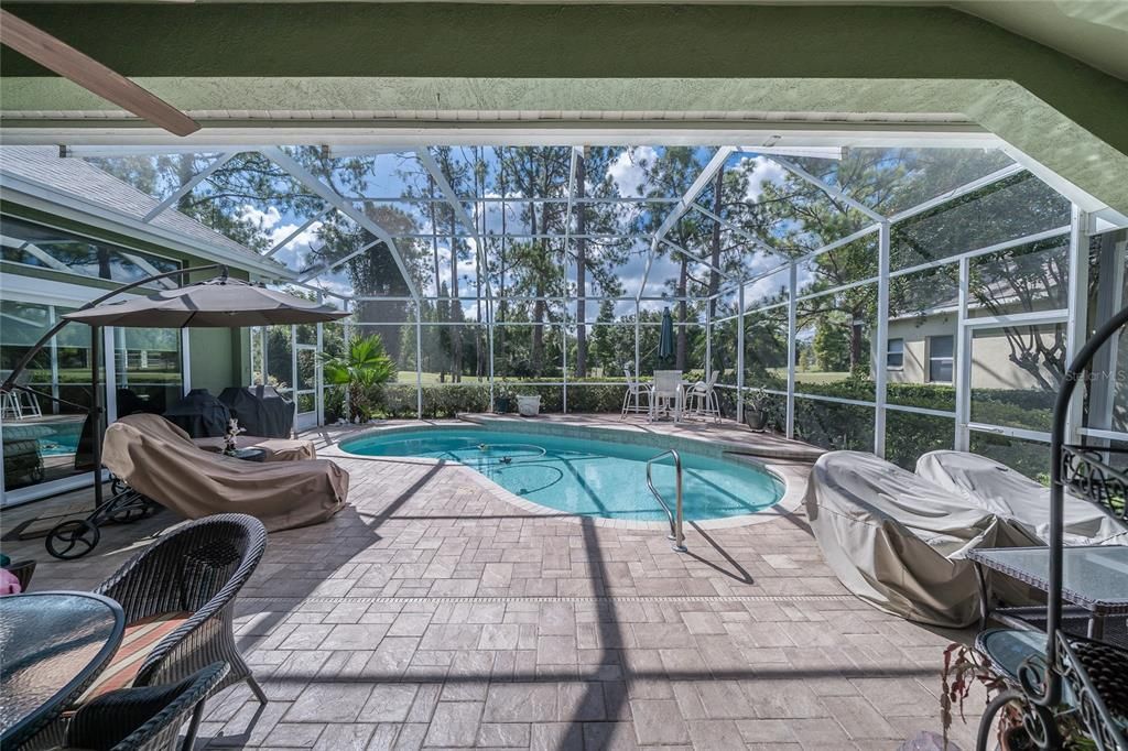 Glass Ceilings, Interior, Pool, Sun Room