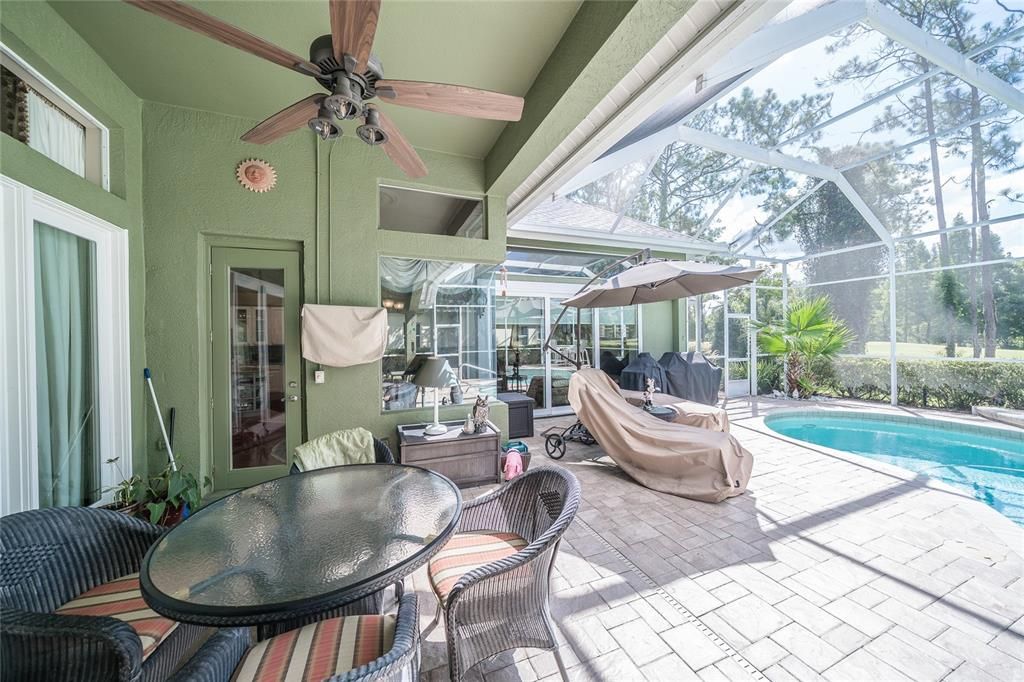 Glass Ceilings, Interior, Pool, Sun Room
