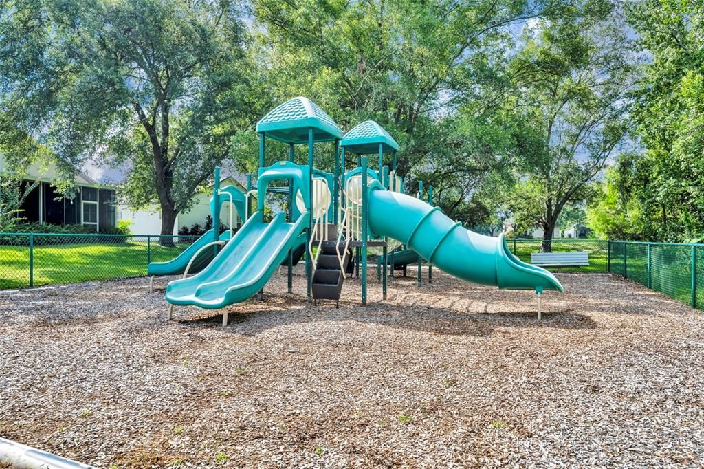 Backyard, Exterior, Playground