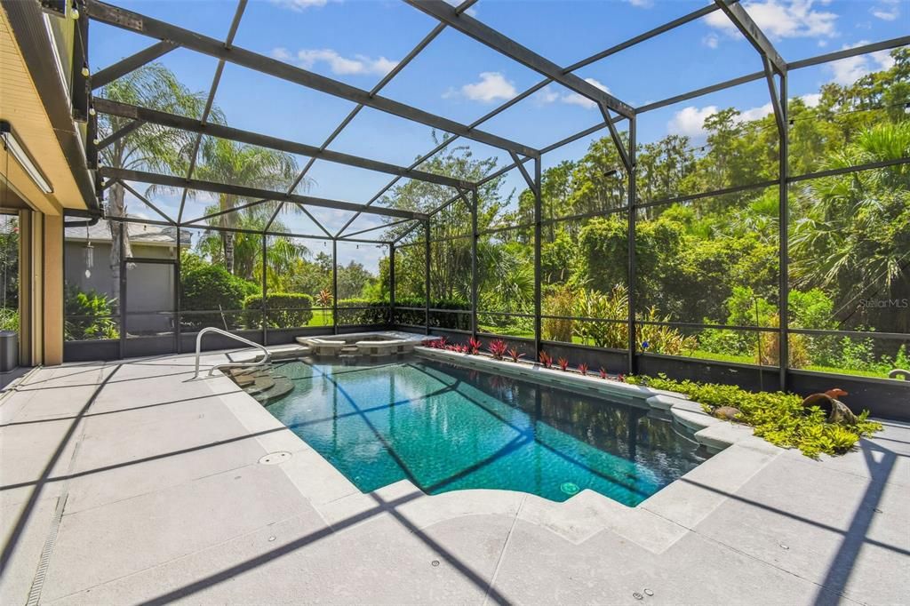 Glass Ceilings, Interior, Pool, Sun Room