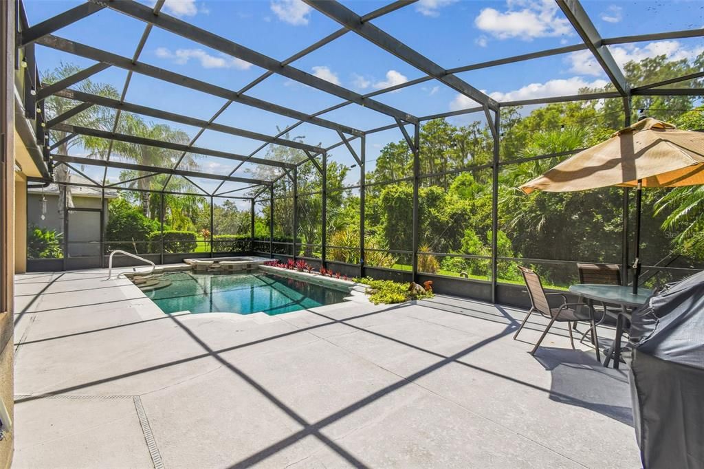 Glass Ceilings, Interior, Pool, Sun Room