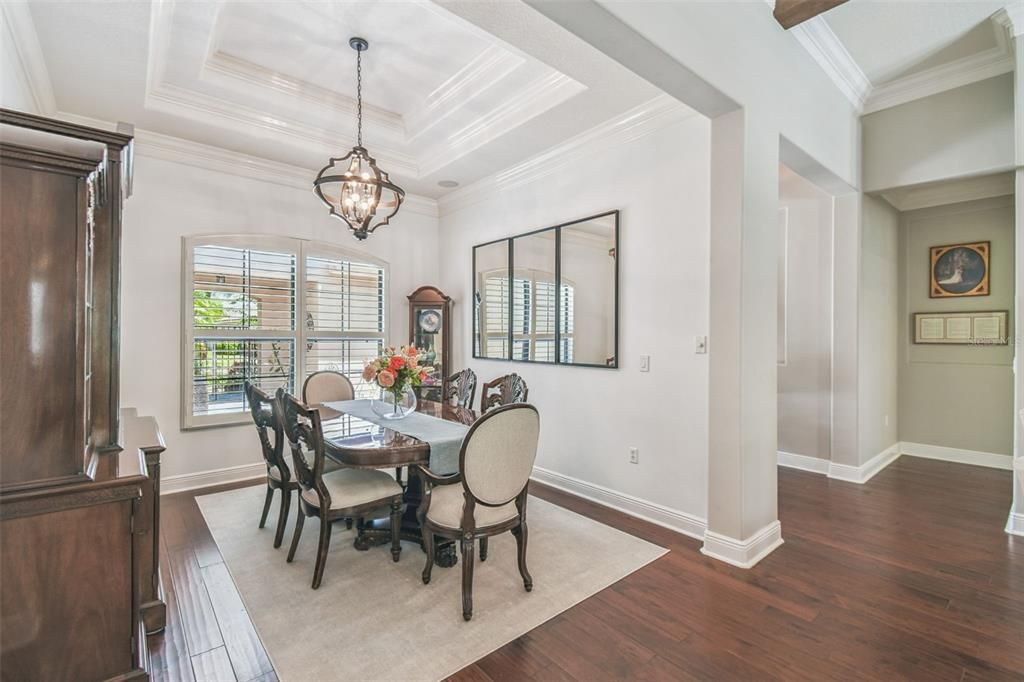 Chandelier, Dining room, Interior, Wood Texture Flooring