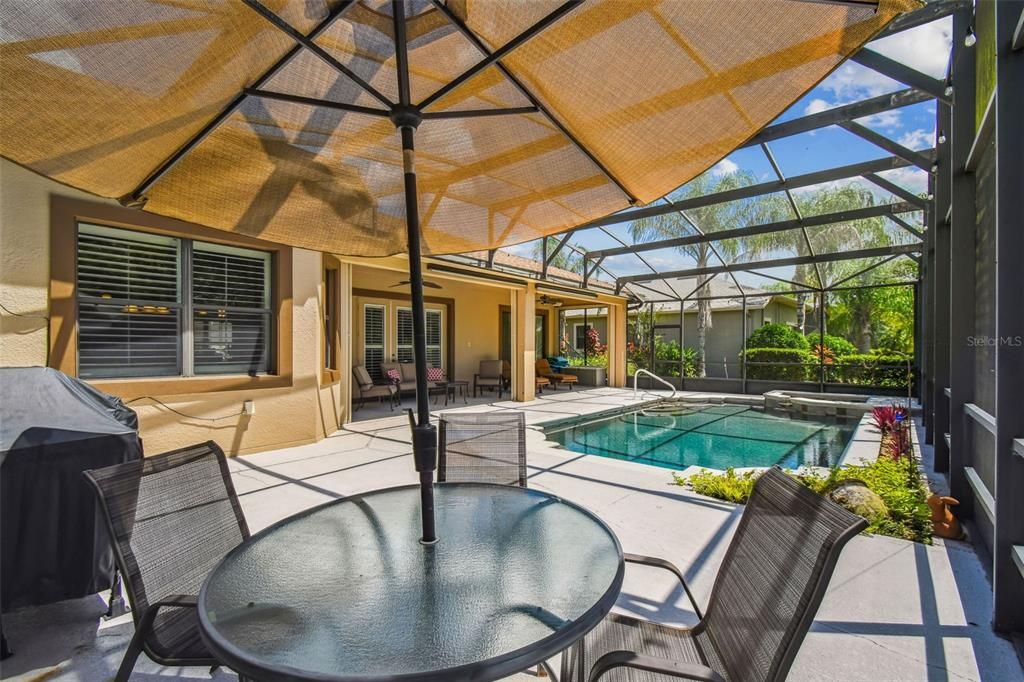 Glass Ceilings, Interior, Pool, Sun Room