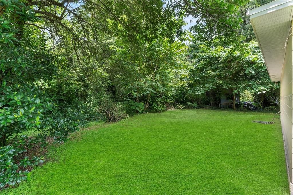 Backyard, Exterior