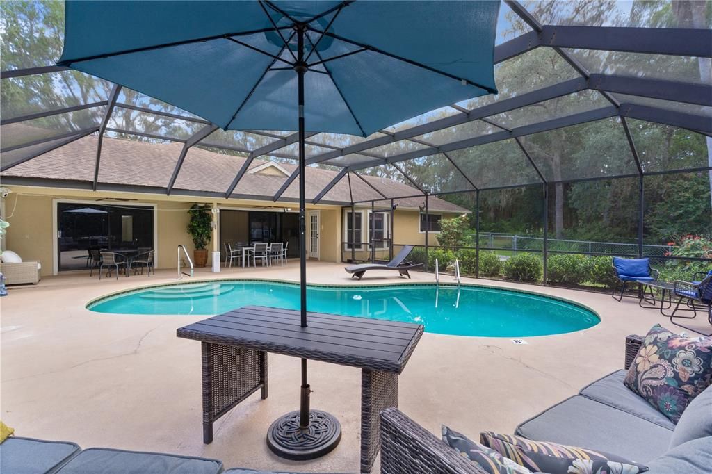 Glass Ceilings, Interior, Pool, Sun Room