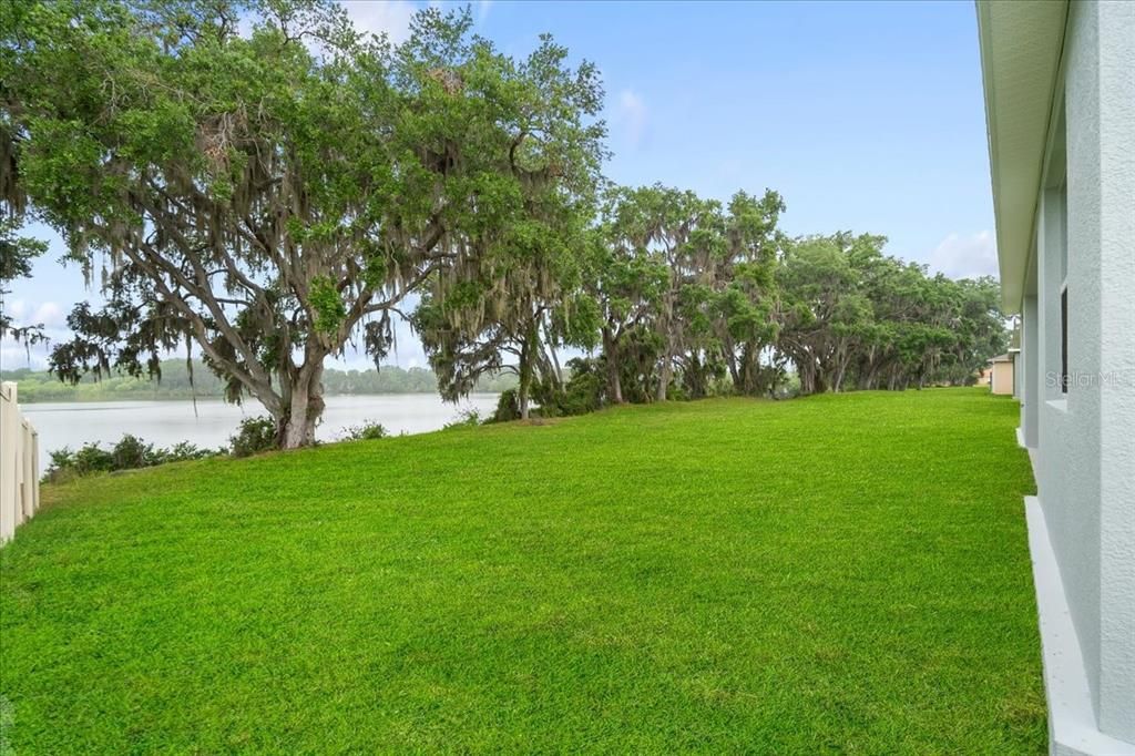 Backyard, Exterior, Water