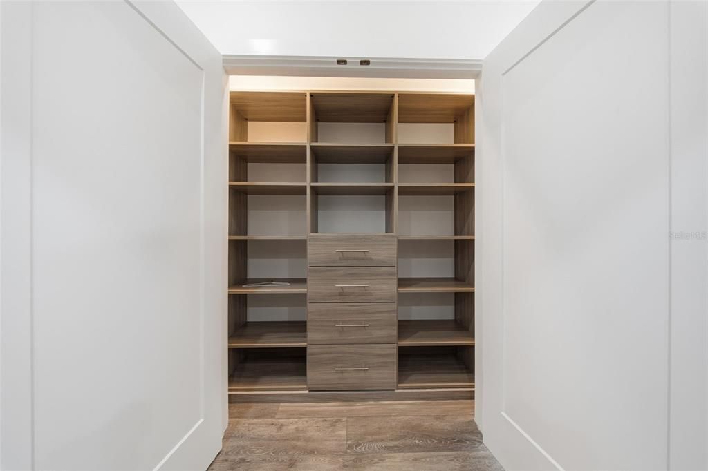 Interior, Walk-in Closets, Wood Texture Flooring