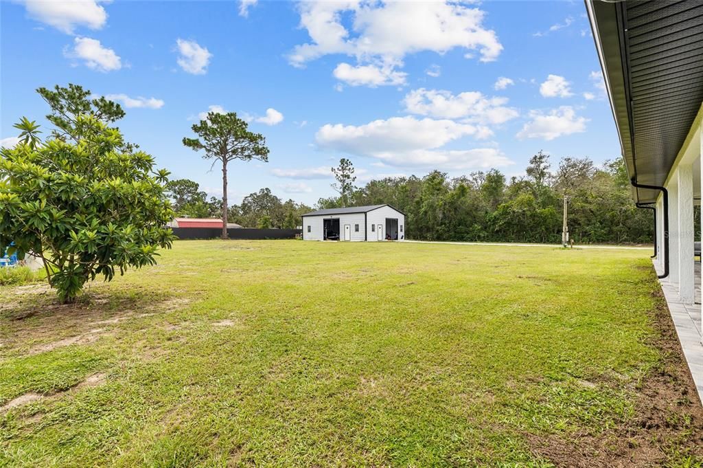 Backyard, Detached Garage, Exterior