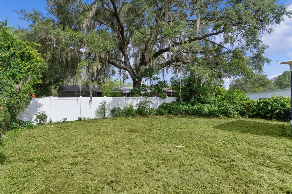 Backyard, Exterior