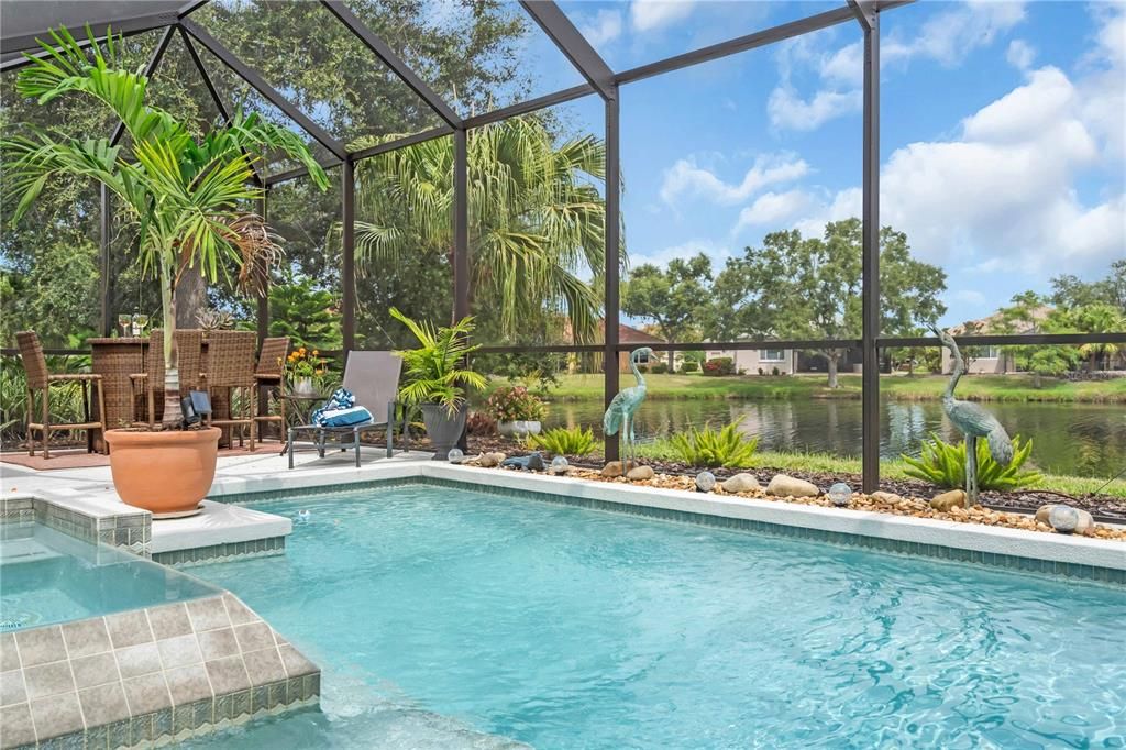 Glass Ceilings, Interior, Pool, Sun Room, Water