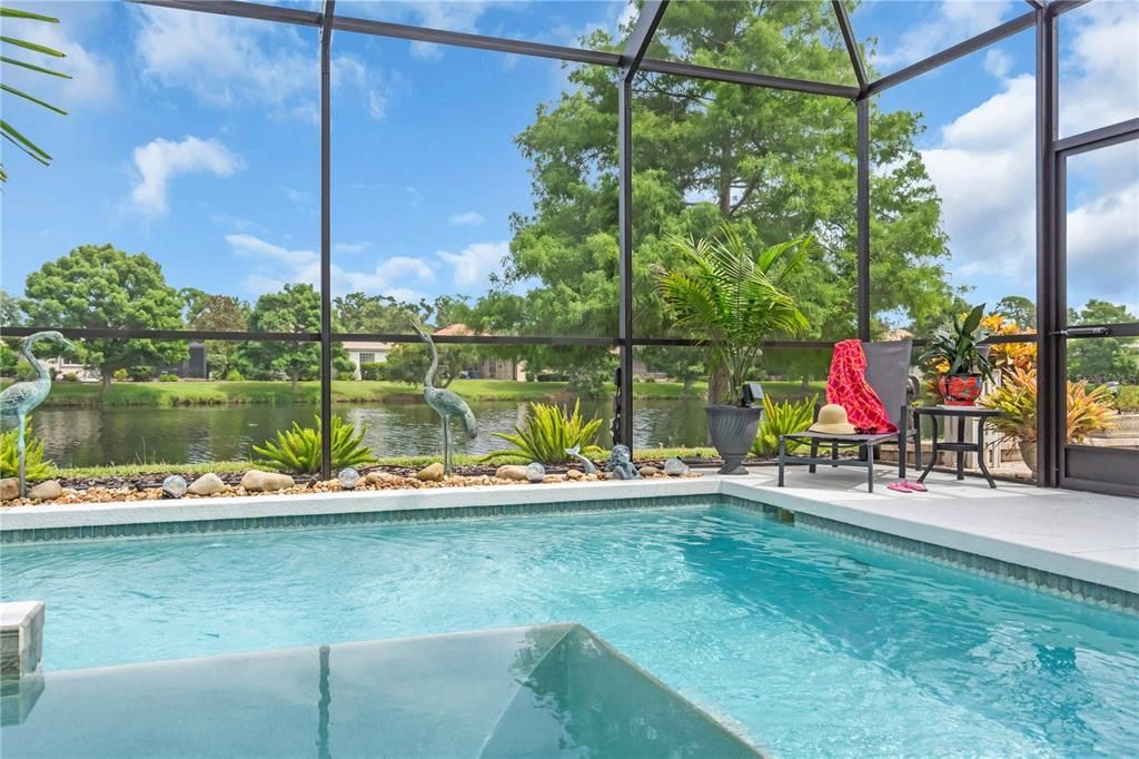 Glass Ceilings, Interior, Pool, Sun Room, Water