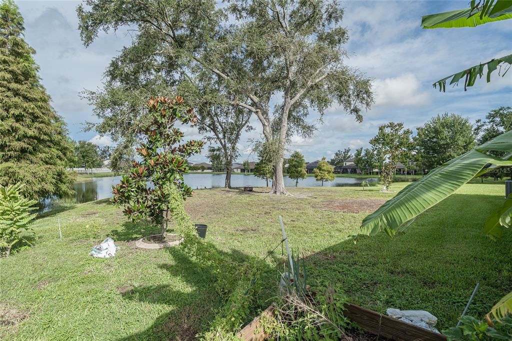 Backyard, Exterior, Water