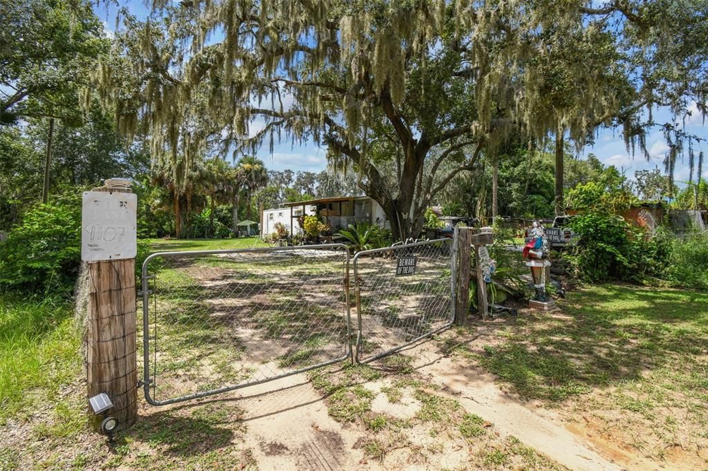 Backyard, Exterior