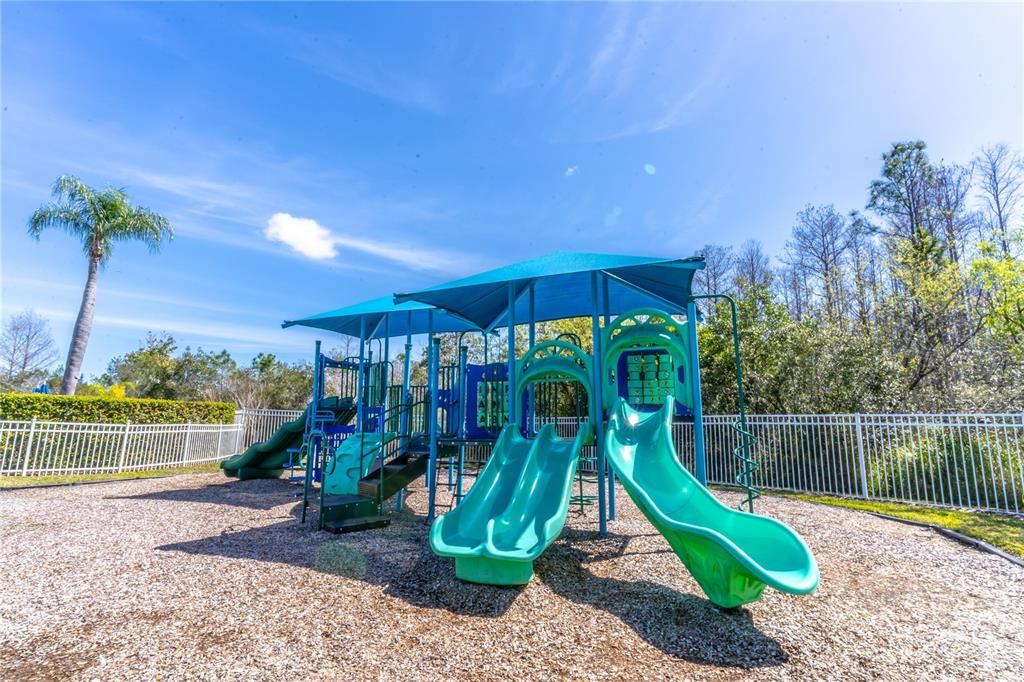 Backyard, Exterior, Playground