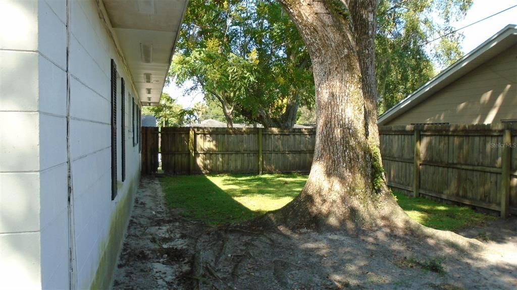 Backyard, Exterior