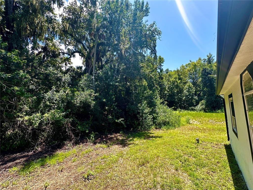 Backyard, Exterior
