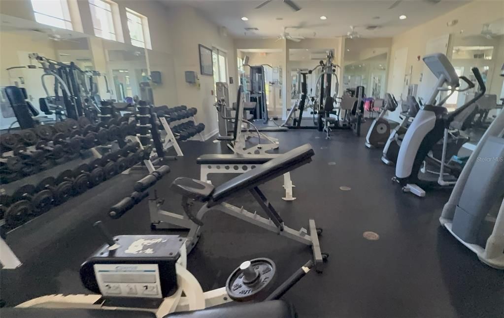 Fitness Equipment, Gym, Interior, Recessed Lighting