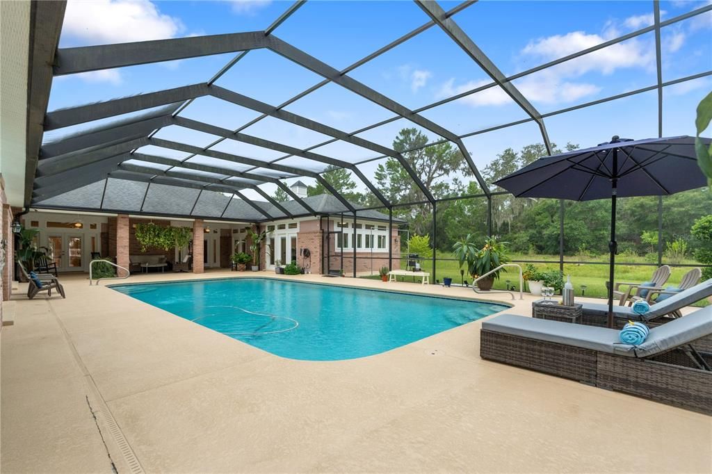 Glass Ceilings, Interior, Pool, Sun Room