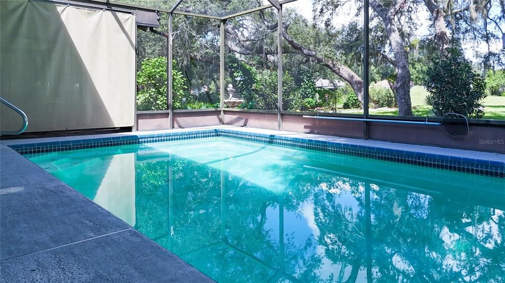 Interior, Pool, Sun Room