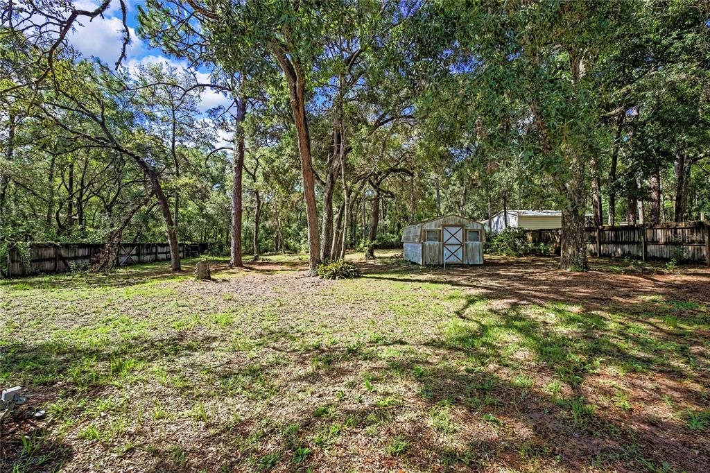 Backyard, Exterior
