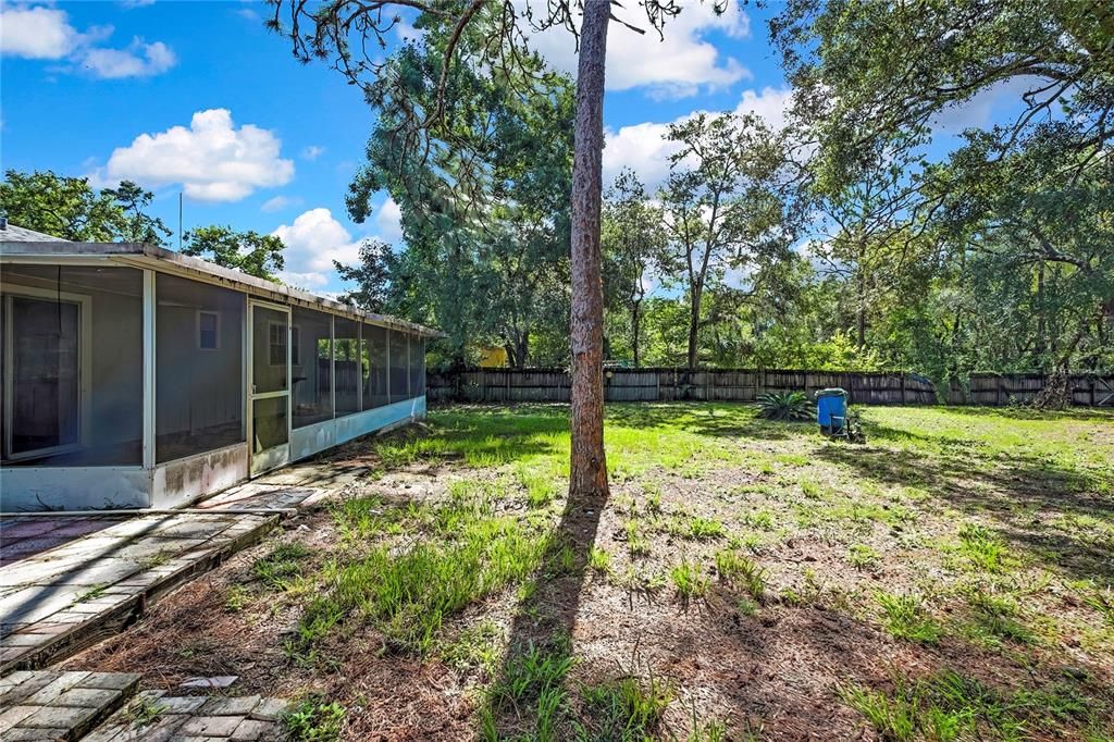Backyard, Exterior