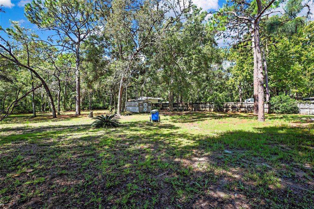 Backyard, Exterior