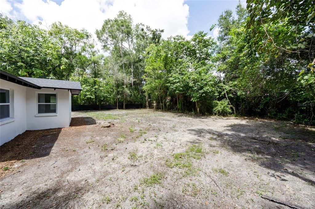 Backyard, Exterior
