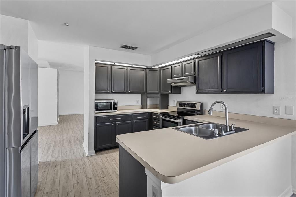 Interior, Kitchen, Stainless Steel Appliances, Wood Texture Flooring