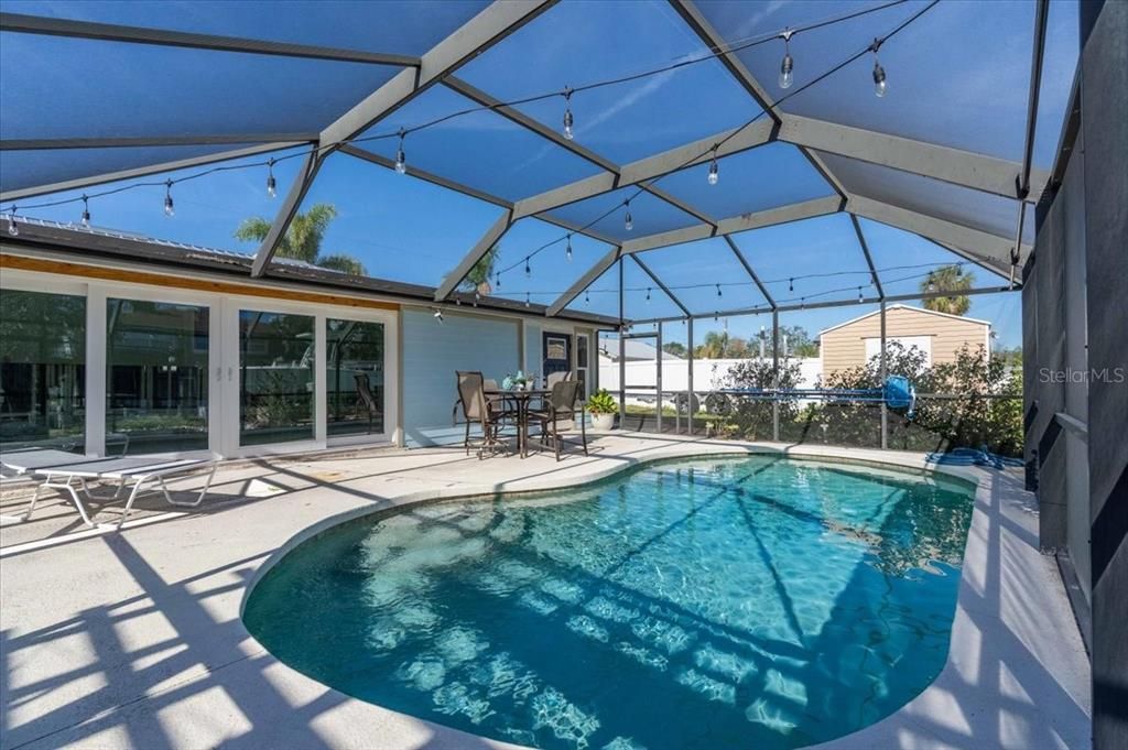 Glass Ceilings, Interior, Pool, Sun Room