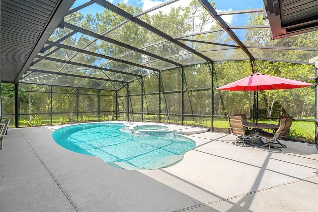 Glass Ceilings, Interior, Pool, Sun Room