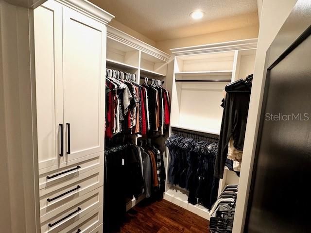 Interior, Recessed Lighting, Walk-in Closets, Wood Texture Flooring