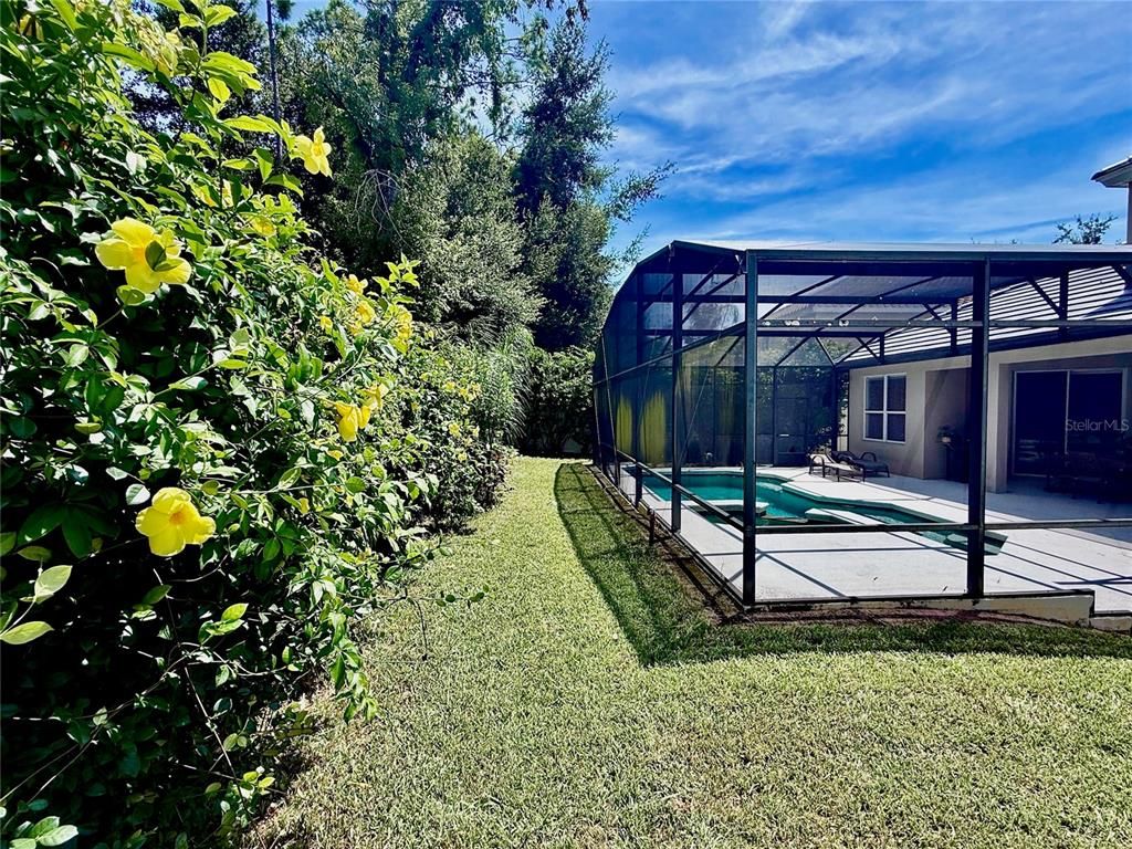Backyard, Exterior