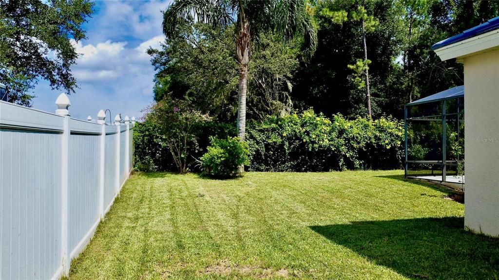 Backyard, Exterior