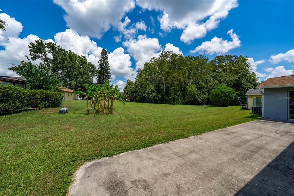Backyard, Exterior