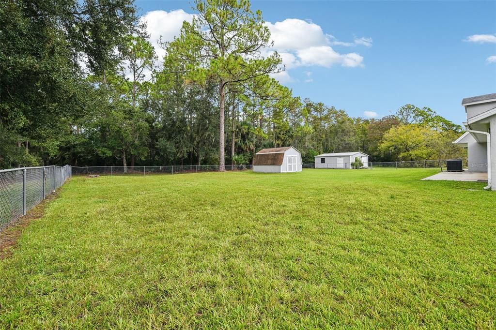 Backyard, Exterior