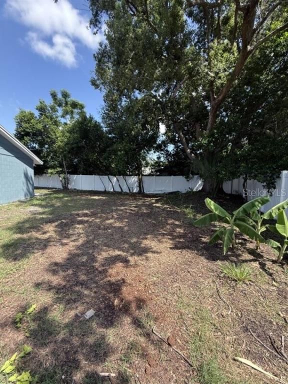 Backyard, Exterior