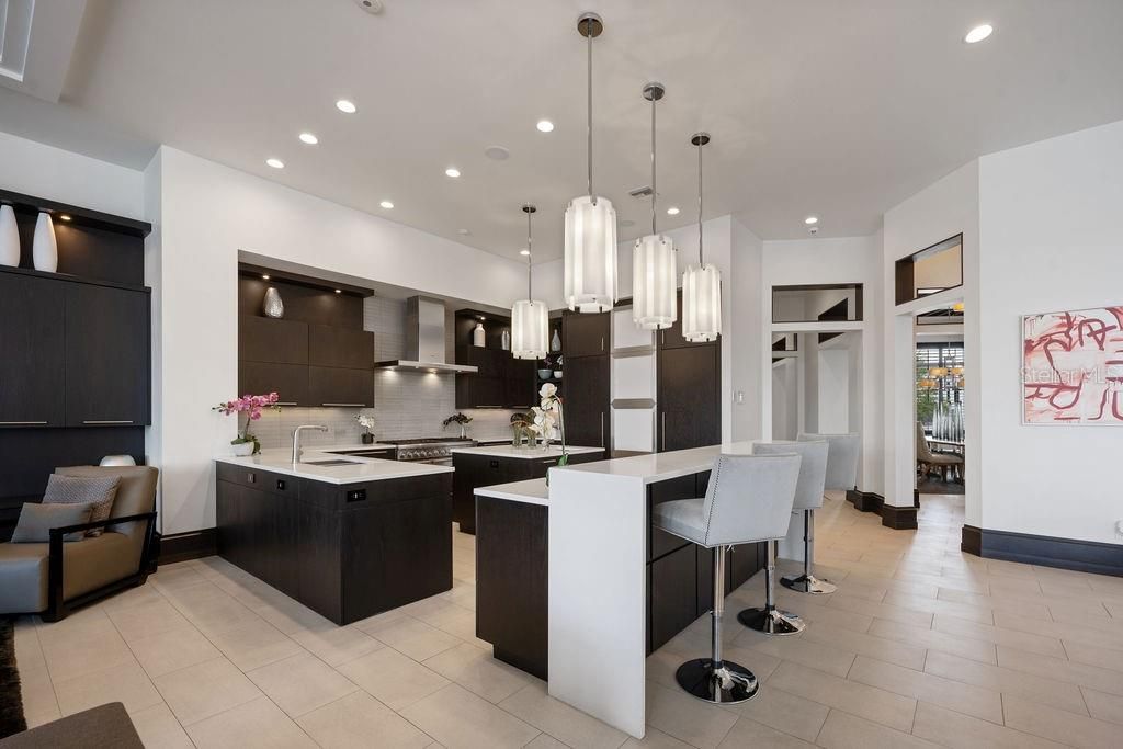 Interior, Kitchen, Pendant Lights, Recessed Lighting