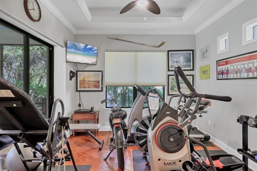 Fitness Equipment, Interior, Wood Texture Flooring