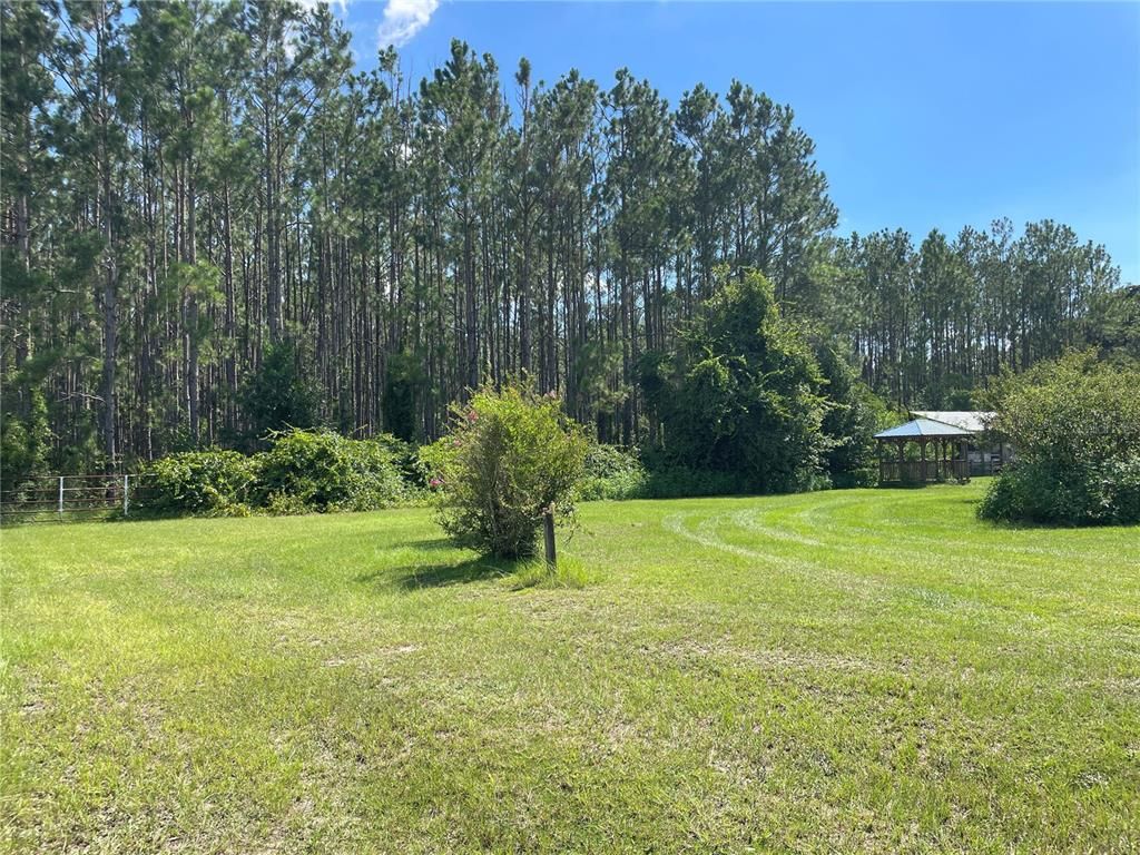 Backyard, Exterior