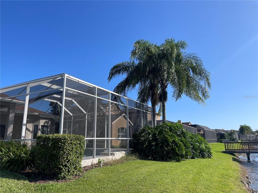 Backyard, Exterior
