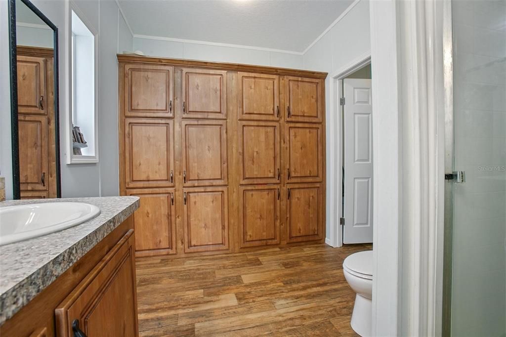 Bathroom, Interior, Wood Texture Flooring