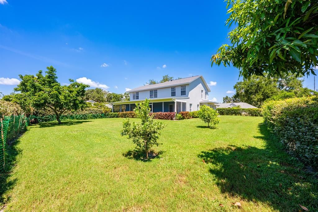 Backyard, Exterior