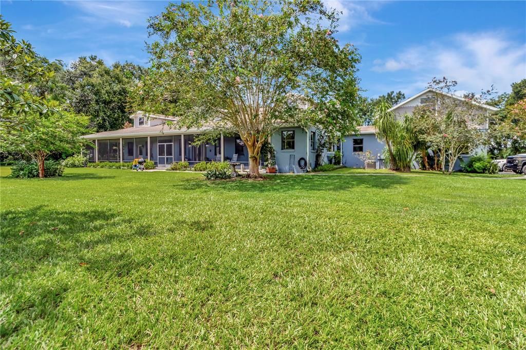 Backyard, Exterior
