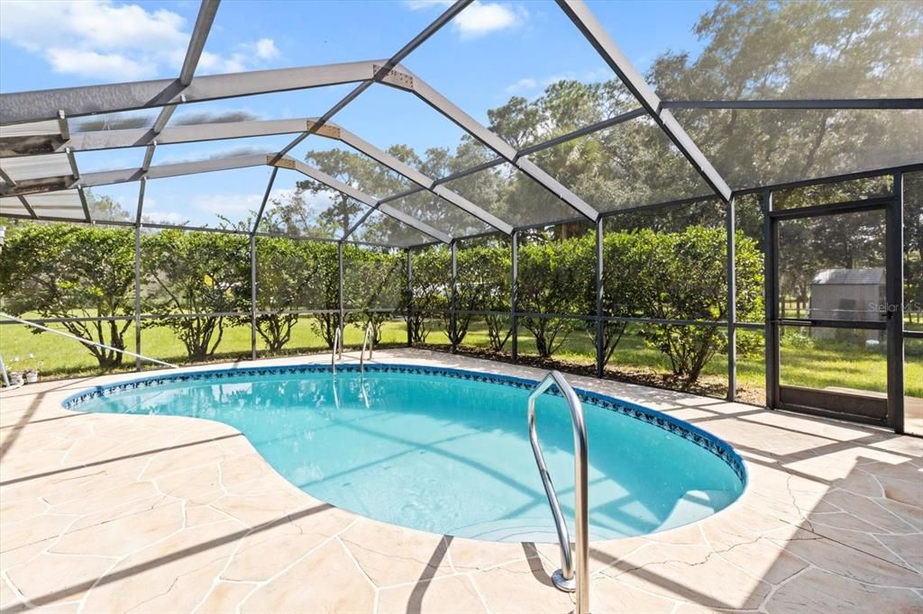 Glass Ceilings, Interior, Pool, Sun Room