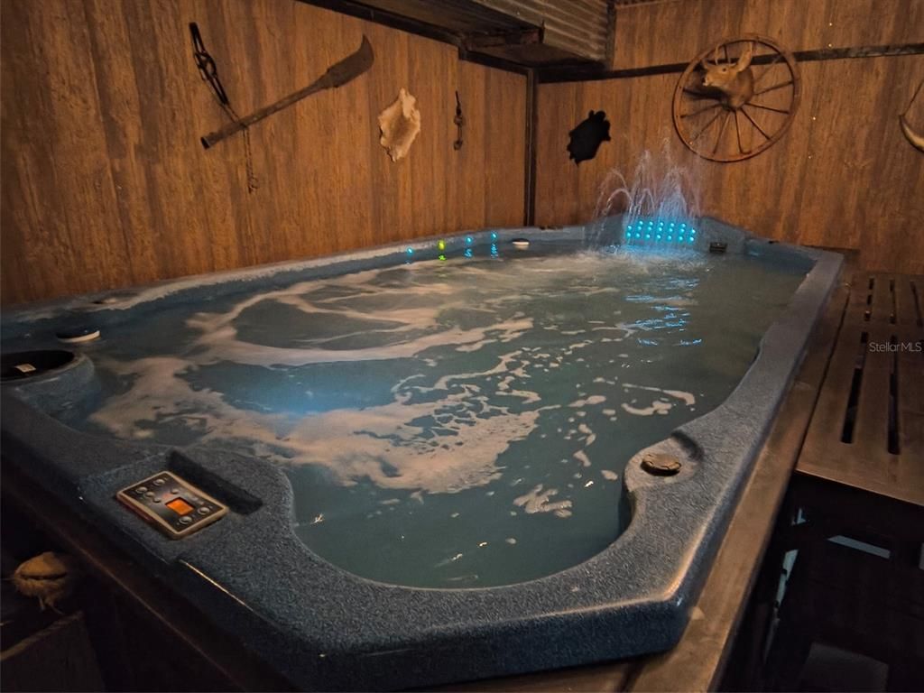 Hot Tub, Interior, Pool, Wooden Walls