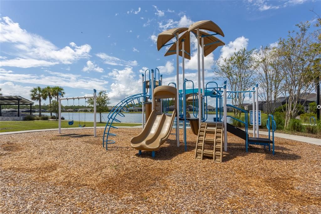 Backyard, Exterior, Playground