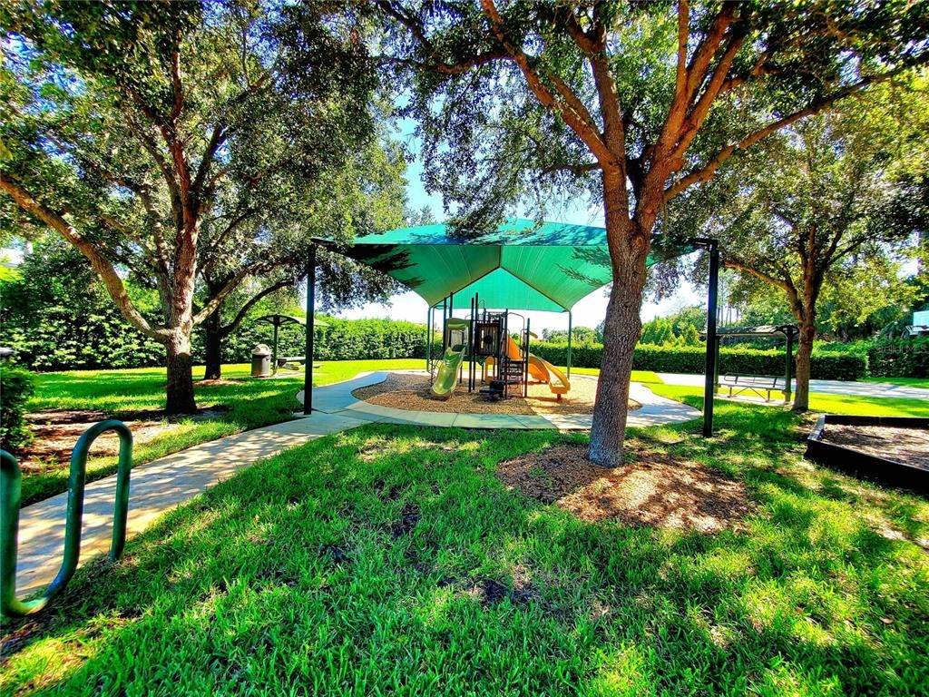 Backyard, Exterior, Playground